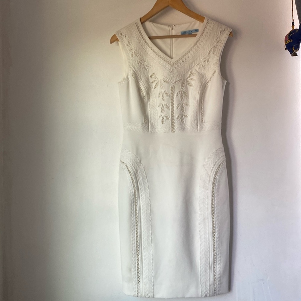 Antonio Melani 4 Embroidered Midi Dress
